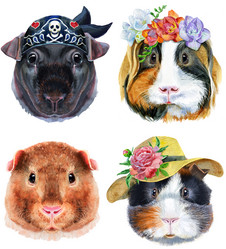 Similar image 21234184