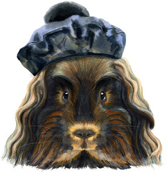 Similar image 21234188