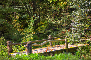 Similar image 21216404