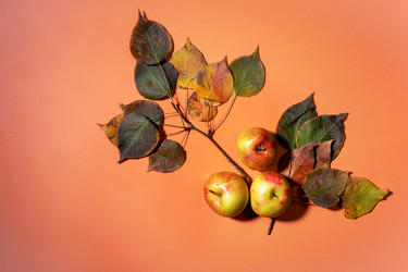 Similar image 21226193