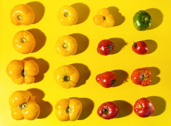 Similar image 21226470