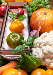 Similar image 21226498