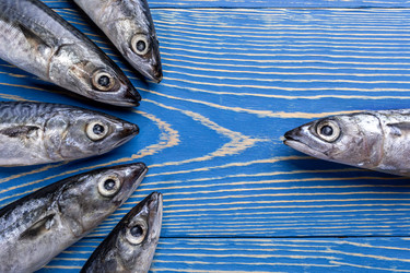 Similar image 21226504