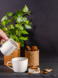 Similar image 21226524