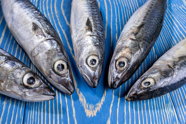 Similar image 21226553