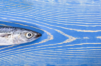 Similar image 21226555