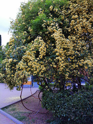 Similar image 21216511