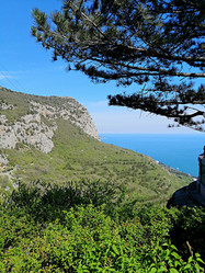 Similar image 21216513