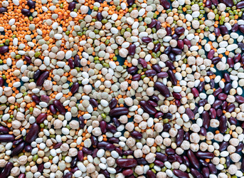 Similar image 21226187