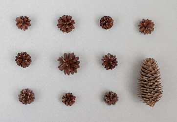 Similar image 21216815