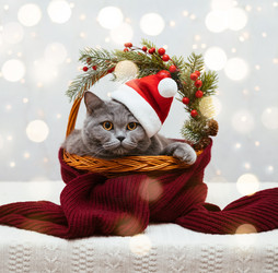 Similar image 21216819