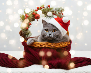 Similar image 21216820