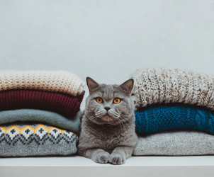 Similar image 21216821