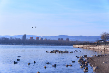 Similar image 21216406