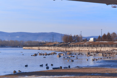 Similar image 21216415