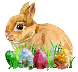 Similar image 21234200