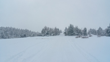 Similar image 21239159