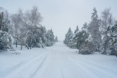 Similar image 21217238