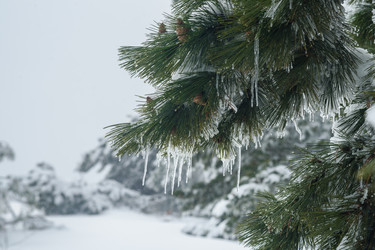 Similar image 21228098