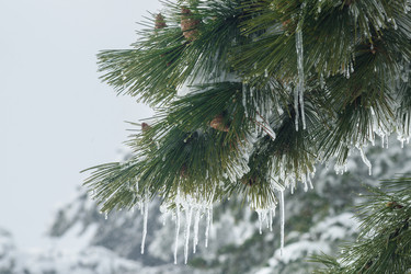 Similar image 21239160