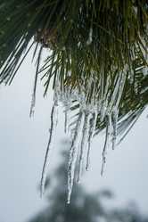 Similar image 21217240