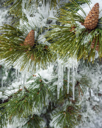 Similar image 21239161