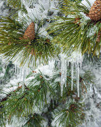 Similar image 21228099