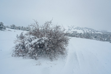 Similar image 21239162