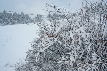 Similar image 21228100