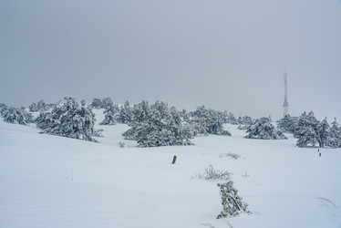 Similar image 21239163