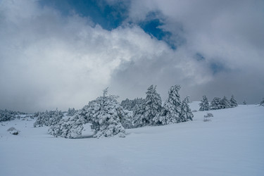 Similar image 21217243