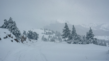 Similar image 21239165