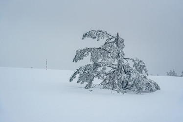 Similar image 21228102