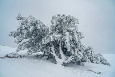 Similar image 21228103