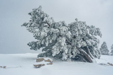 Similar image 21217246