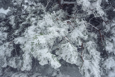 Similar image 21228104