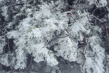 Similar image 21239168