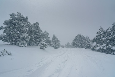 Similar image 21239169