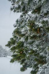 Similar image 21217326