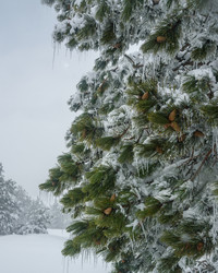 Similar image 21228105