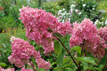 Similar image 21213672