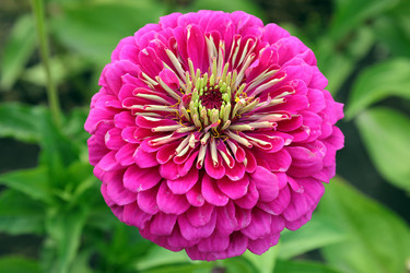 Similar image 21213673