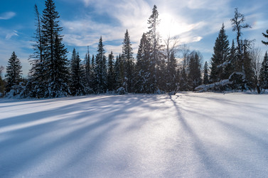 Similar image 21213967