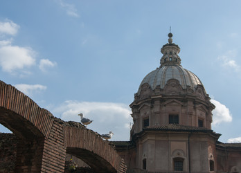 Similar image 21213999