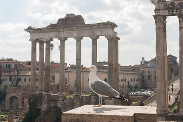 Similar image 21214002