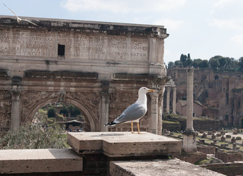 Similar image 21214004