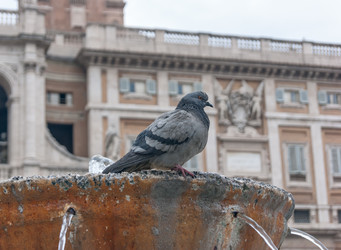 Similar image 21214005