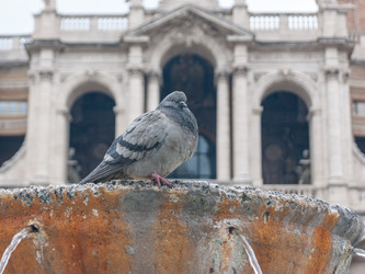 Similar image 21214007