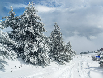 Similar image 21217327