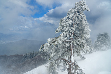 Similar image 21217328